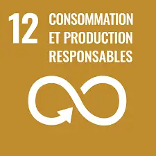 ODD 12 - Consommation et production responsables